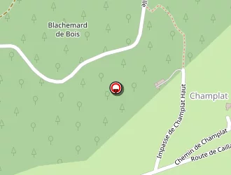 Carte de Ebi Muzelle à Roisey