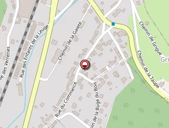 Carte de Espinasse Michel à Vergongheon