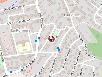 Carte de Le Cinquieme Element à Chambon-feugerolles (le)