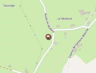 Carte de Lu'divin Ongle à Pisieu