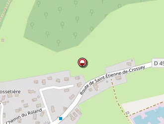 Carte de Balme Patrice à Saint-aupre