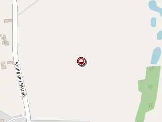 Carte de Gei (gendron Electricité Industrielle) à Cherval