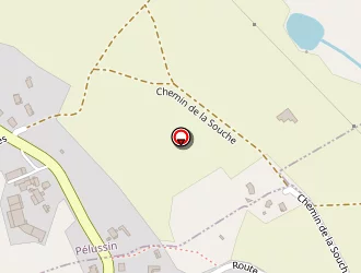 Carte de Pizza Chez Binj à Roisey