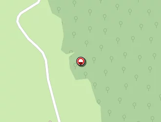 Carte de Verdier Jean Marc à Uzerche