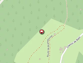 Carte de Laarman Olivier à Allevard