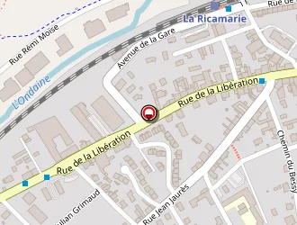 Carte de Bsm à Ricamarie (la)