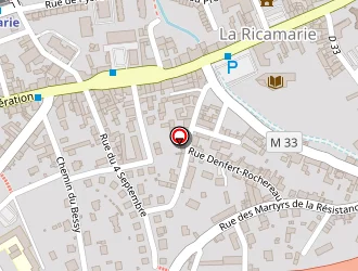 Carte de Gs Projection à Ricamarie (la)