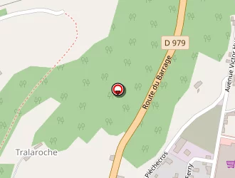 Carte de Carrefour Market à Bort-les-orgues