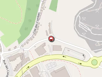 Carte de Rouchon-souchon à Ricamarie (la)