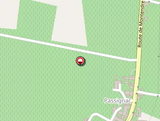 Carte de Reaud Claude à Saint-maigrin