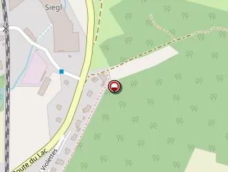 Carte de Mg à Grand-lemps (le)