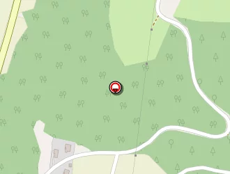 Carte de Pluet Loïc à Vézézoux