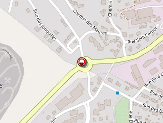 Carte de Petrogest à Ricamarie (la)