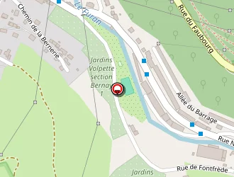 Carte de Boule Du Bernay à Saint-étienne