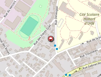 Carte de Maafa Anissa à Saint-étienne