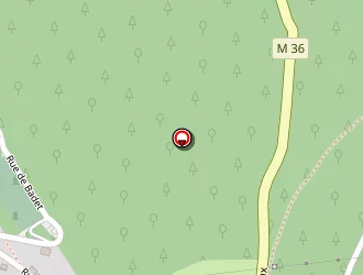 Carte de Prout Sylvie à Saint-étienne