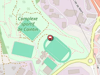 Carte de Vitrerie à Ricamarie (la)