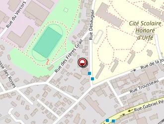 Carte de P.e.r.f à Saint-étienne