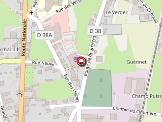 Carte de Lemaire Nicole à Arlanc