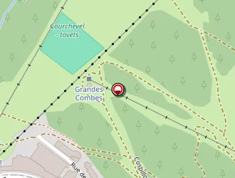 Carte de Clerc André à Courchevel saint bon