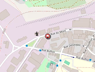 Carte de Confort Ds à Saint-étienne