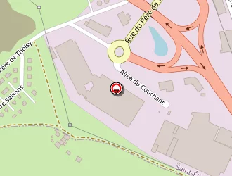 Carte de Omerin à Saint-étienne