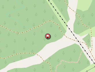 Carte de Spm Ski à Courchevel saint bon