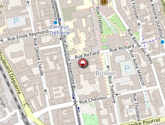 Carte de Calis Chrystel à Saint-étienne