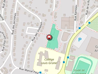 Carte de Stade De Beaulieu à Roche-la-molière