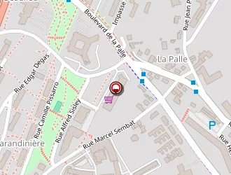 Carte de Orel Chazalet Olympic à Saint-étienne