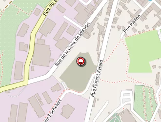 Carte de Terrain Florent Evrard à Saint-étienne