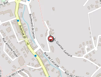 Carte de Deivid-11 à Saint-étienne