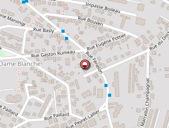 Carte de Somavi à Saint-étienne