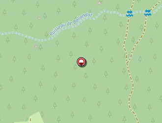 Carte de Valesch Mickaël à Planay