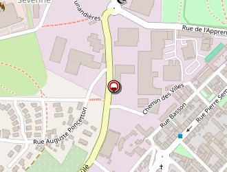 Carte de Dettinger Multi-services à Saint-étienne