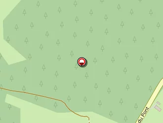 Carte de Cledat Michelle à Saint-augustin