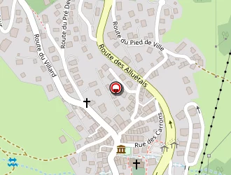 Carte de Brownrock (sasu) à Meribel