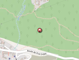 Carte de Les Chalets De La Tania à Perrière (la)