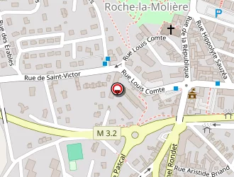 Carte de Badieu David à Roche-la-molière