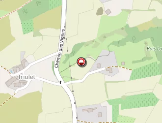 Carte de Garage B Maniquet à Chavanay