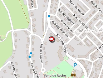 Carte de 100 % Solidarité à Roche-la-molière