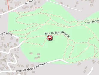 Carte de Cs Auto à Saint-étienne