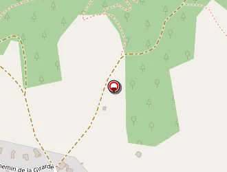 Carte de Taxi D. Celle à Roche-la-molière