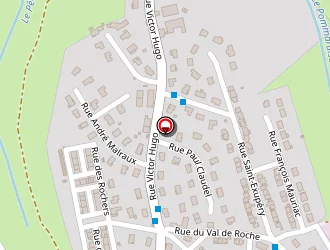 Carte de Viviani Bruno à Roche-la-molière