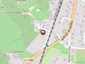 Carte de Pichon Christophe à Chavanay