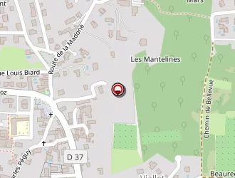 Carte de Deloffre Philippe à Saint-clair-du-rhône