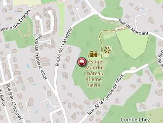 Carte de Id-services à Saint-clair-du-rhône