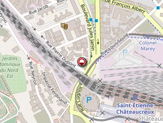 Carte de Darne David à Saint-étienne