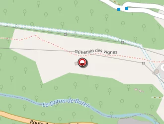 Carte de Alpes Multi Services à Courchevel saint bon