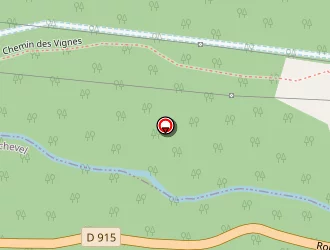 Carte de Lo-ré Sylvie à Courchevel saint bon